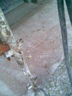 ballynonty 5355.jpg